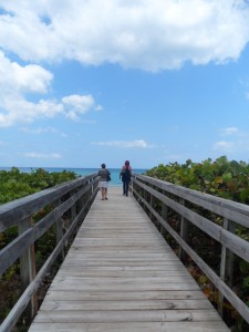 A walk to the beach