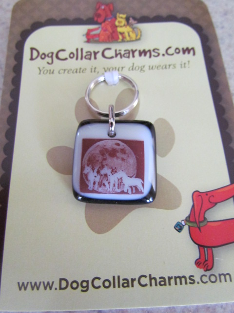dog collar charms
