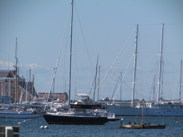 newport harbor