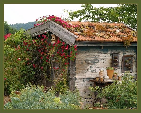 gaertnerei-sarastro-schaugarten-schupfen-2010-06_l