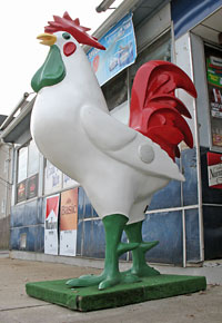 giant chicken