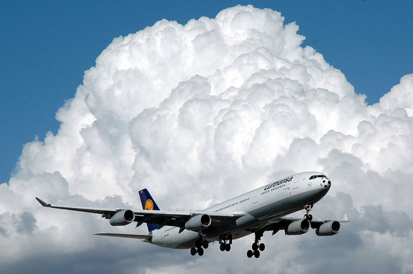 lufthansa_l