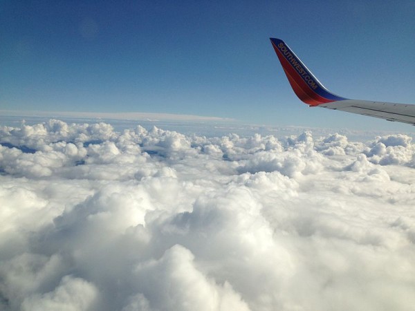 Wing of plane