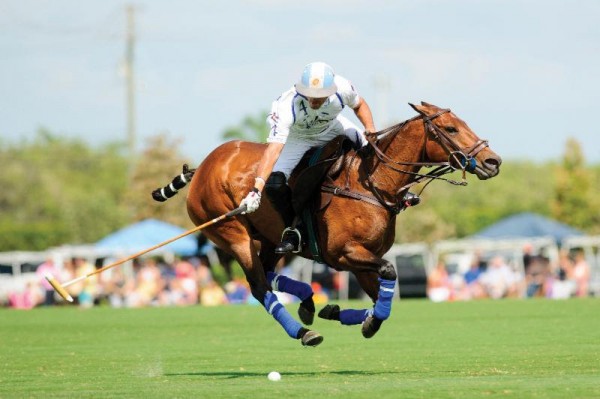 polo player