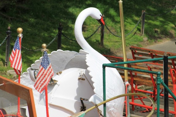 swan boat