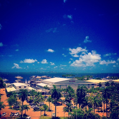 courtyard coconut creek view