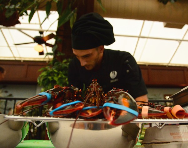 Santucci Lobster