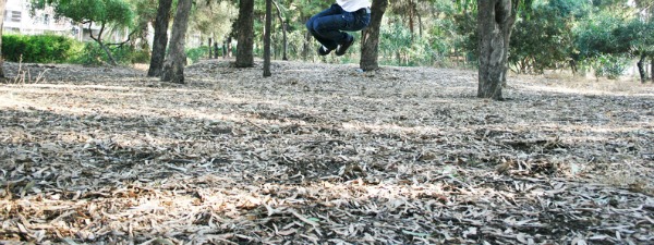 Teen jumping in eucalyptus trees park.