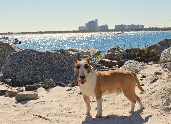 Clem at beach