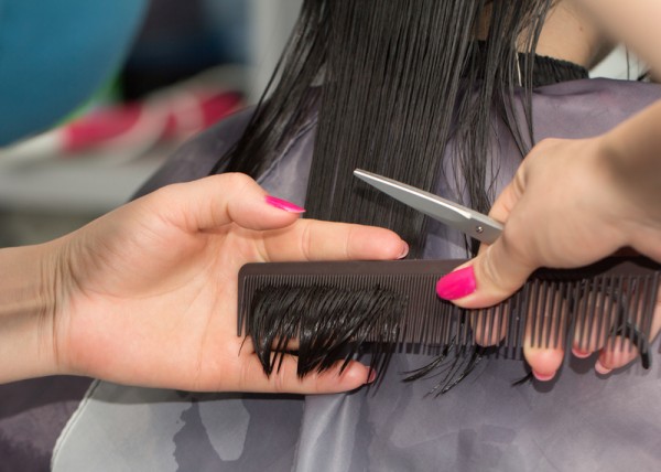 Hairdresser cutting client's hair in beauty salon.