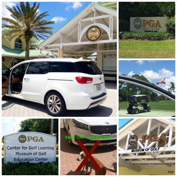 Kia pga Collage