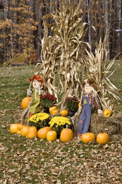 Halloween display