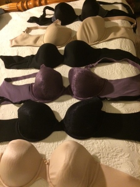 my bevy of bras