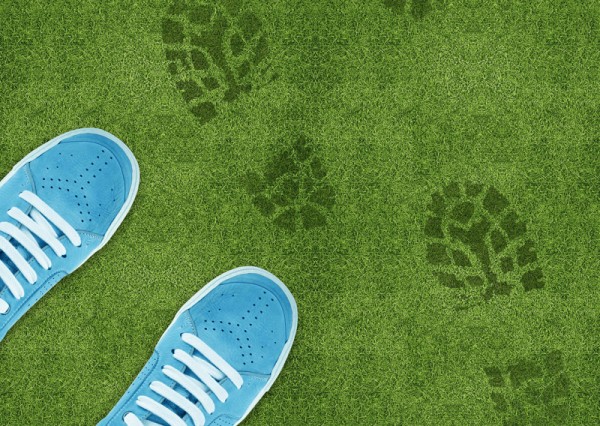 Blue Shoe print on green grassland.