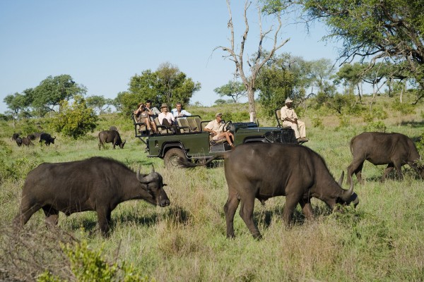 Africa Safari 2