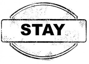 stay