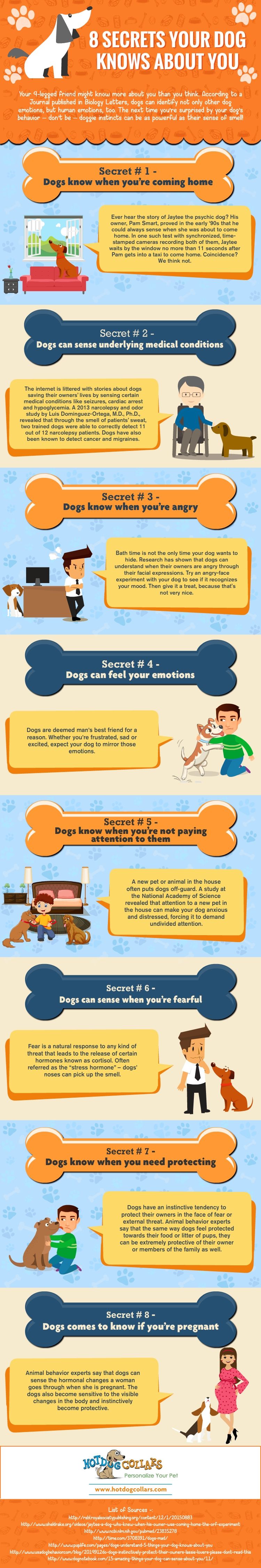 Secrets your dog knows