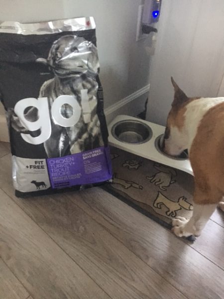 Go fit and free dog clearance food