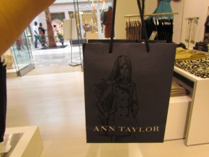 Ann Taylor bag
