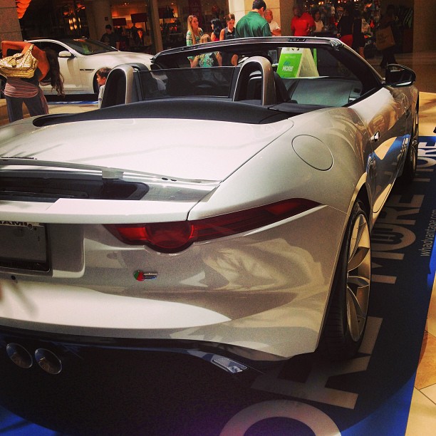 Nice Things +3: Jaguars at the Mall?