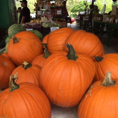 Autumn at the produce stand