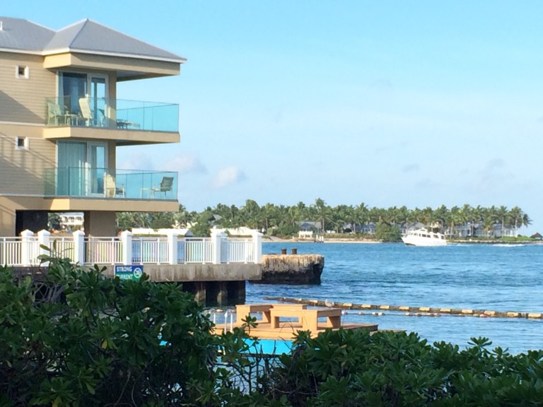 Dog friendly Key West