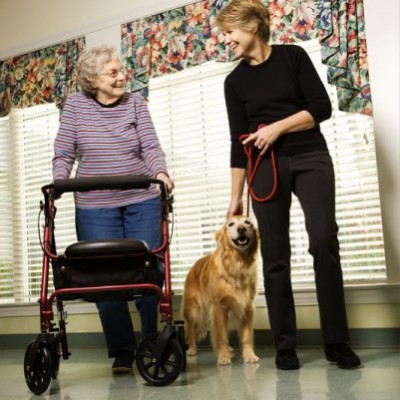 Pets and the elderly