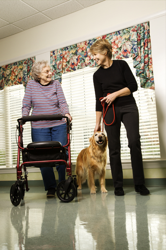 Pets and the elderly