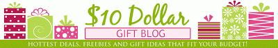 Introducing the 10 Dollar Gift Blog
