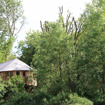 A tree house for the kid in you