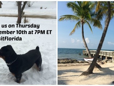 Join The #FLVacay Twitter Party on Thursday December 10th at 7PM ET