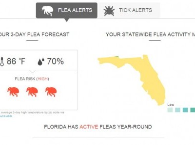 Forecast: FLEAS