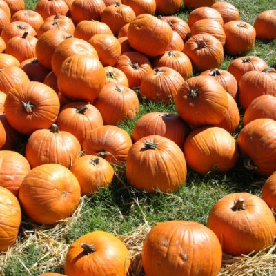 Fall traditions around the globe