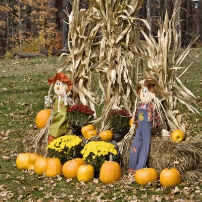 From pumpkin patches to corn mazes