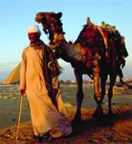 Things I Learned from – a Moroccan Camel Driver