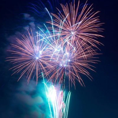 Keeping your pets safe during fireworks