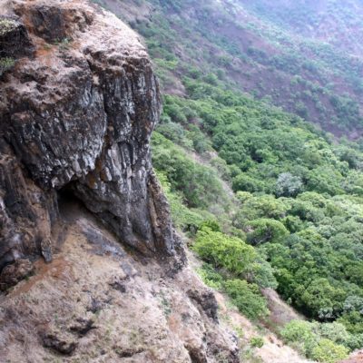 Explore the Evergreen Forest of Mahabaleshwar