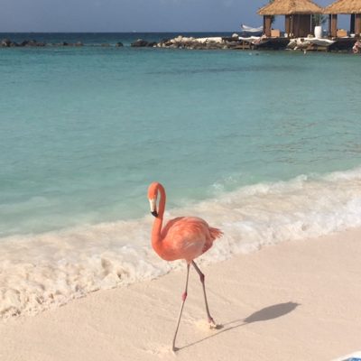 5 things you MUST do in Aruba