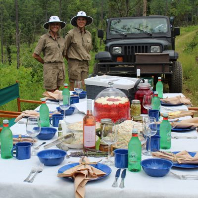 Safari Picnics and Aphrodisiac Menus – oh my