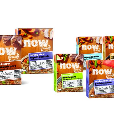 How to stop your dog from begging for table scraps