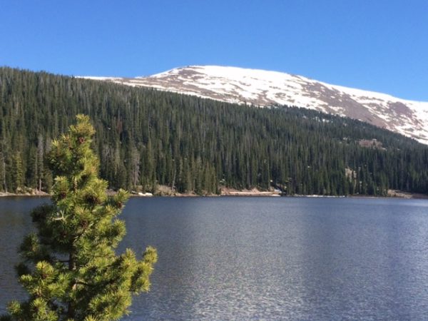 are dogs allowed at mirror lake utah