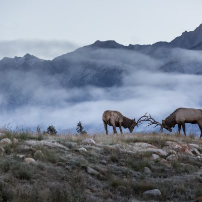 Tips for planning your Rocky Mountaineer vacation