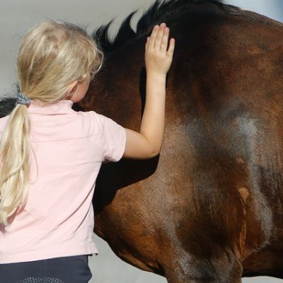 4 Benefits of Horse Riding Lessons For Kids