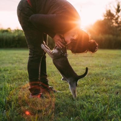 Essential Care Tips for a Happy and Healthy Dog