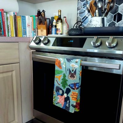 How I upgraded my kitchen for under $17