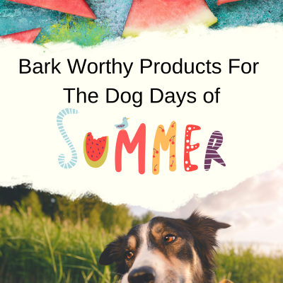 Keeping Your Pooch Active and Happy in the Dog Days of Summer: Best Toys, Gear & Food