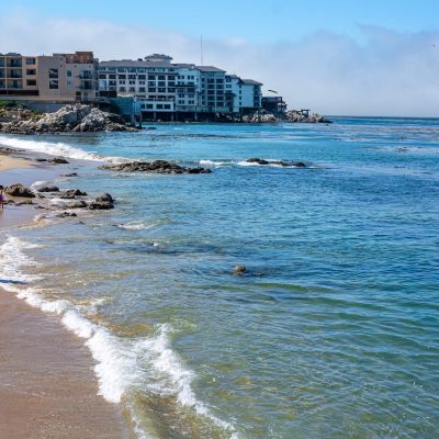 A Give-Back Vacation in Monterey, CA
