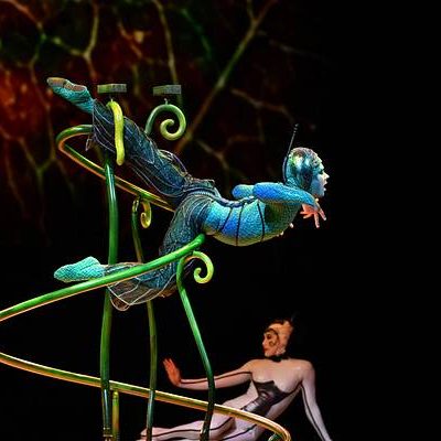 Cirque du Soleil’s OVO is Buzzing into Providence!