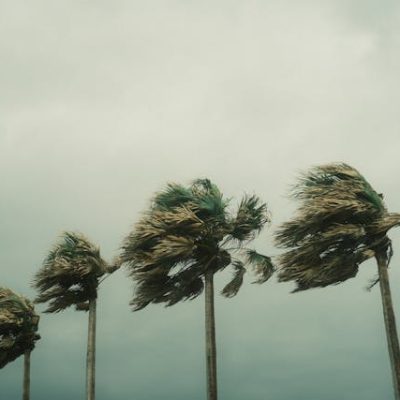 Emergency Preparedness Guide: Hurricane Season Essentials and More