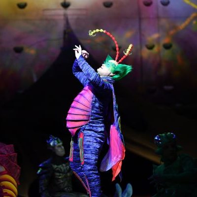 Cirque du Soleil’s OVO: A Spectacle That Tickles the Imagination